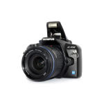 Areca Sansevieria Plant Bundle